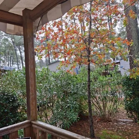 Mh263 3 Et 2 Salles De Bain Dans 4 Etoiles 생-줄리앙-앙-보른