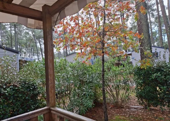 Mh263 3 Et 2 Salles De Bain Dans 4 Etoiles 波讷地区圣朱利安